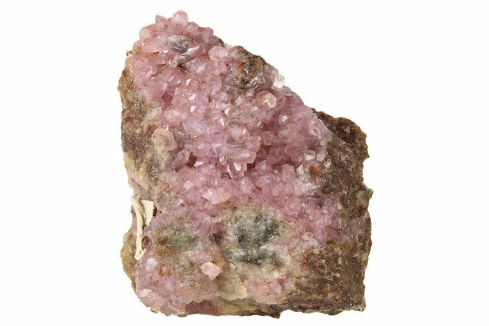 Sparkly Cobaltoan Calcite Crystals - Morocco #265195